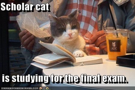 Scholar lolcat is studying for the final exam
